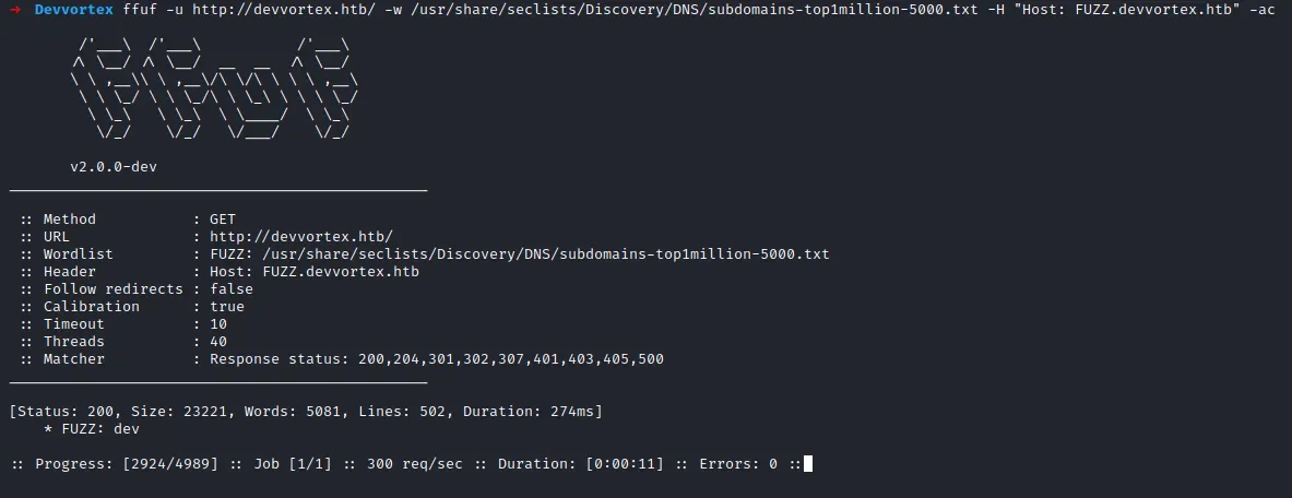 VHost Enumeration